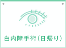 白内障手術（日帰り）