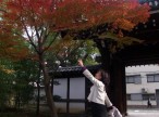 紅葉の季節です。近くの公園にて