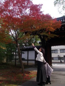 紅葉の季節です。近くの公園にて