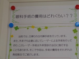 DSC00941