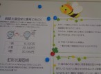 DSC00942