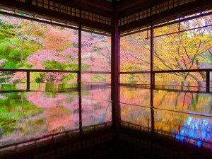HQYL5289[1]