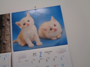 DSC05549