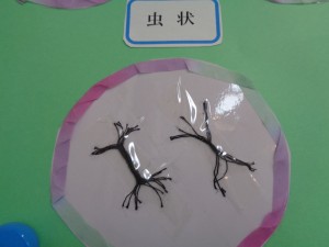 DSC05586