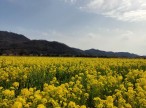IMG_1868[1]