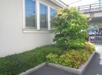 DSC07599