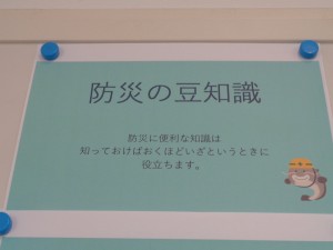 DSC07620