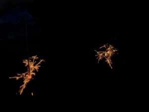IMG_E7330[1]