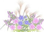 3cc2fe7134ed92bb867eeffac92e5bb3